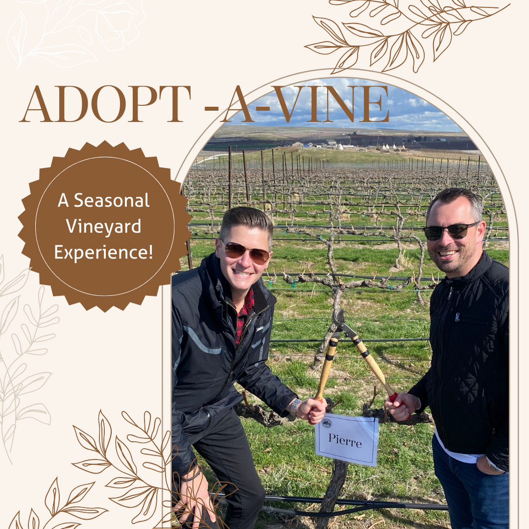 Adopt-a-Vine: Nurture a Vine through the Seasons (CLUB)