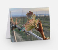 Load image into Gallery viewer, Vineyard Vistas Note Cards
