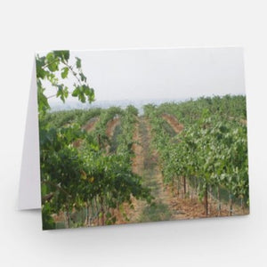Vineyard Vistas Note Cards