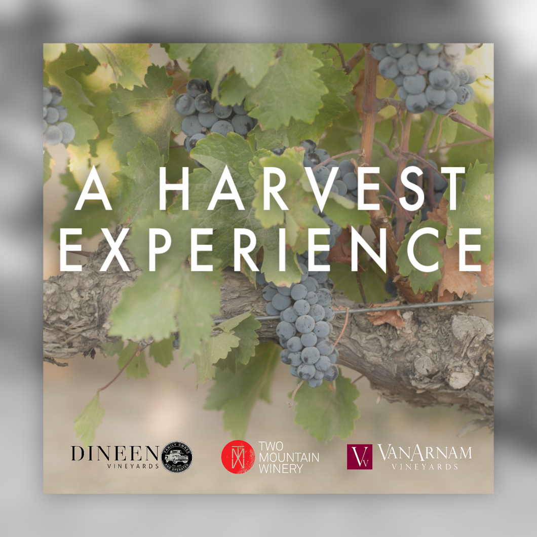 A Harvest Experience - The Art & Science of Making Wine
