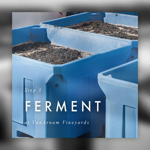 A Harvest Experience - The Art & Science of Making Wine